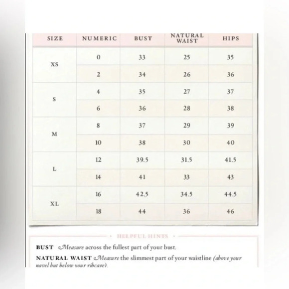 BHLDN Anthro Dress Hitherto Floating Flock Bird Silk Organza Velvet dress - Picture 11 of 11